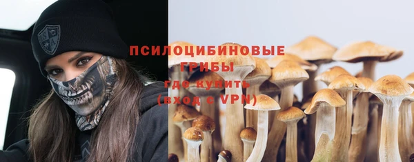стаф Балахна