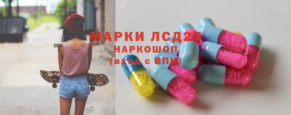 стафф Аркадак