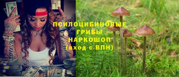 стаф Балахна