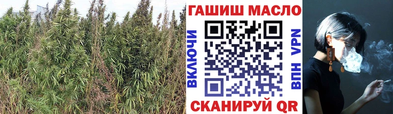Дистиллят ТГК THC oil  дарк нет формула  Коломна 