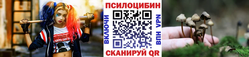 Псилоцибиновые грибы Magic Shrooms  купить наркоту  Коломна 