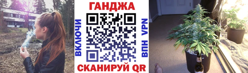 Бошки Шишки планчик  Коломна 